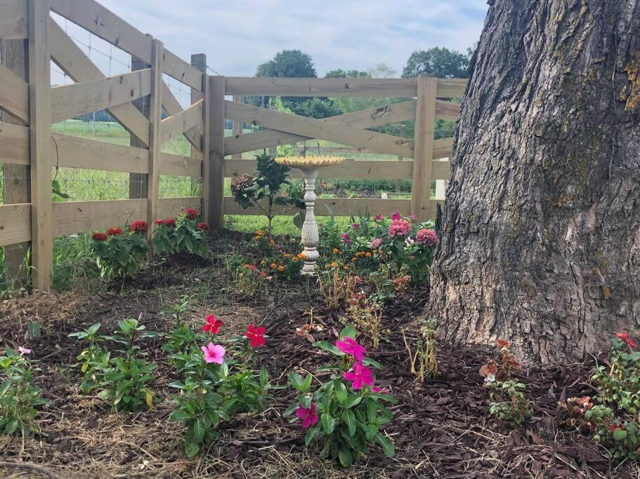 Pleasant Valley Farm Dairy Barn Writer'S Retreat コロンビア エクステリア 写真